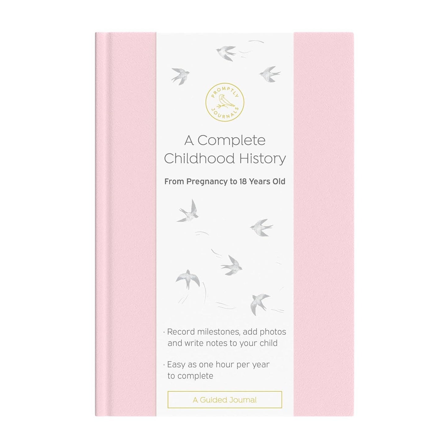 A Complete Childhood History: Pregnancy to 18 Years Journal