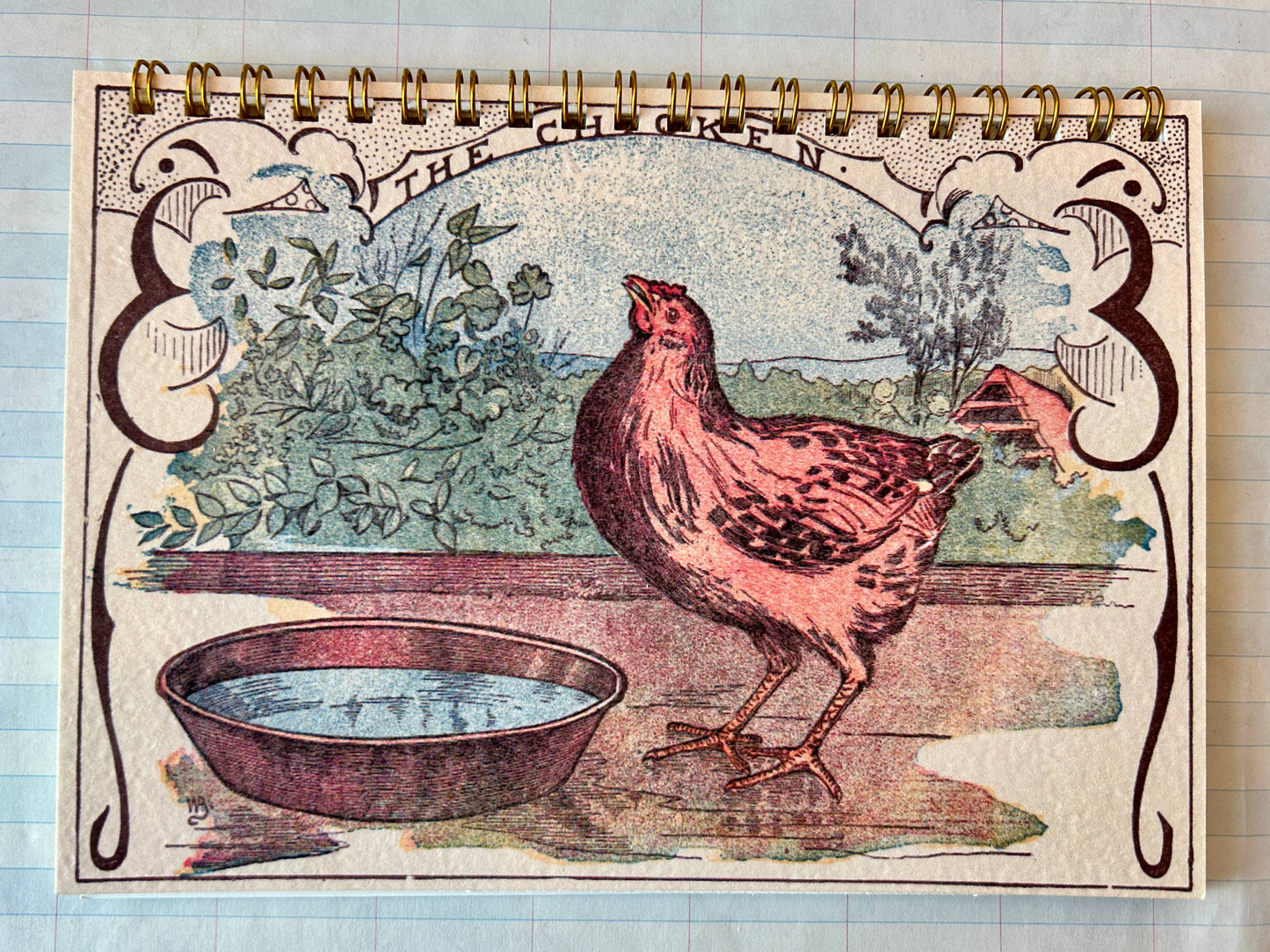 The Chicken Notebook