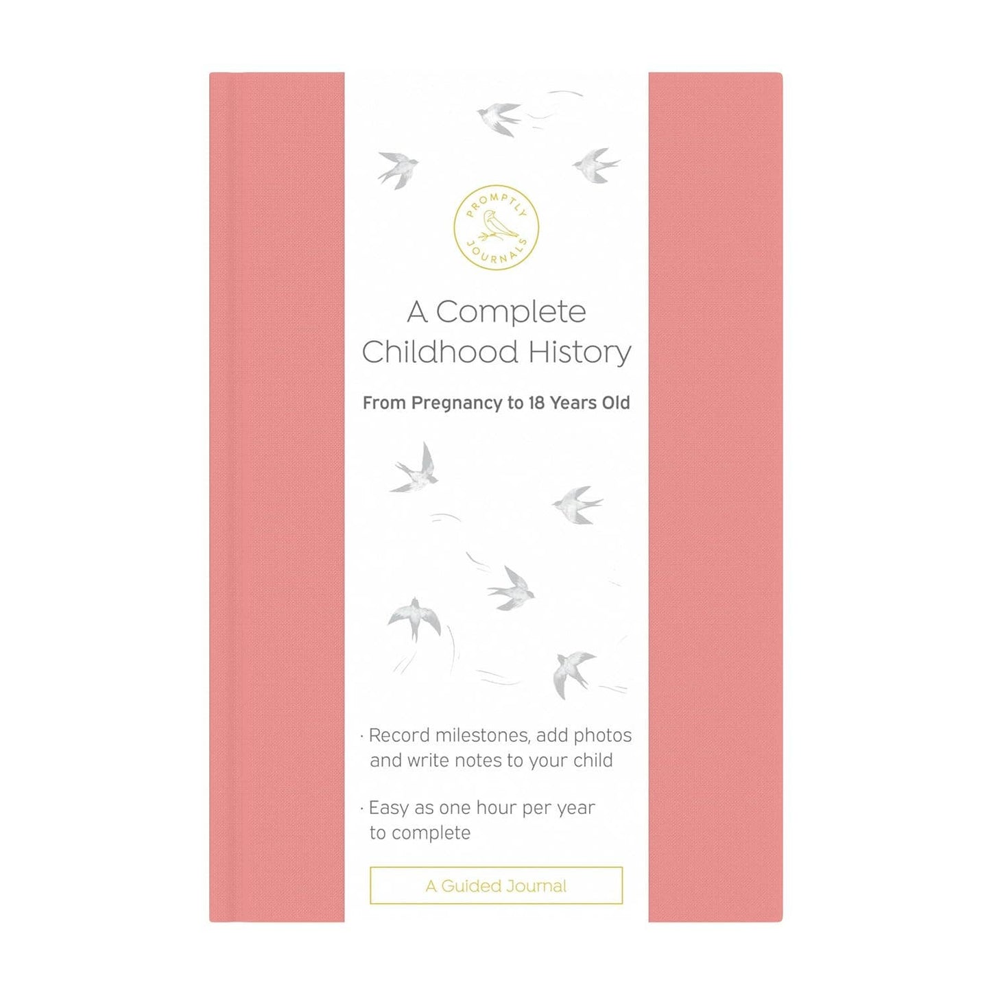 A Complete Childhood History: Pregnancy to 18 Years Journal