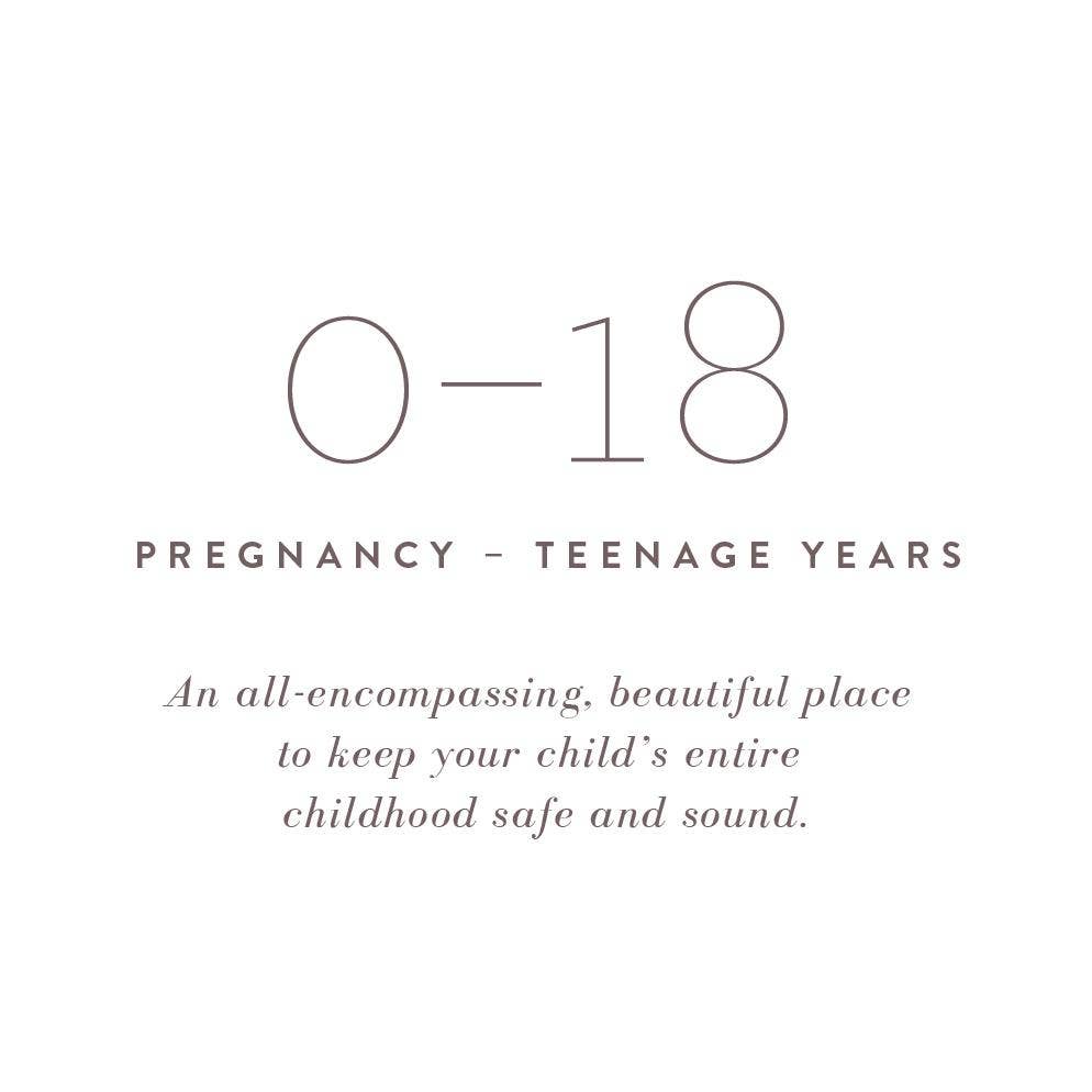 A Complete Childhood History: Pregnancy to 18 Years Journal