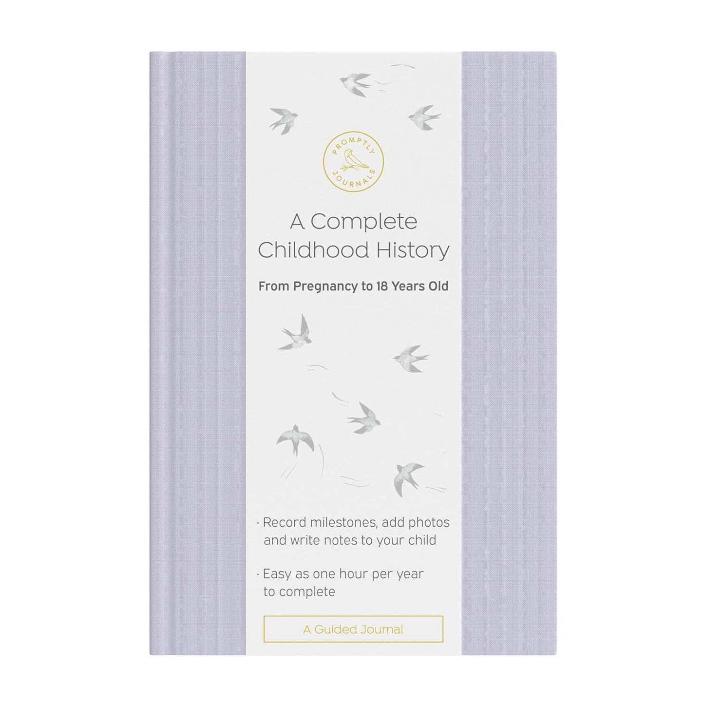 A Complete Childhood History: Pregnancy to 18 Years Journal
