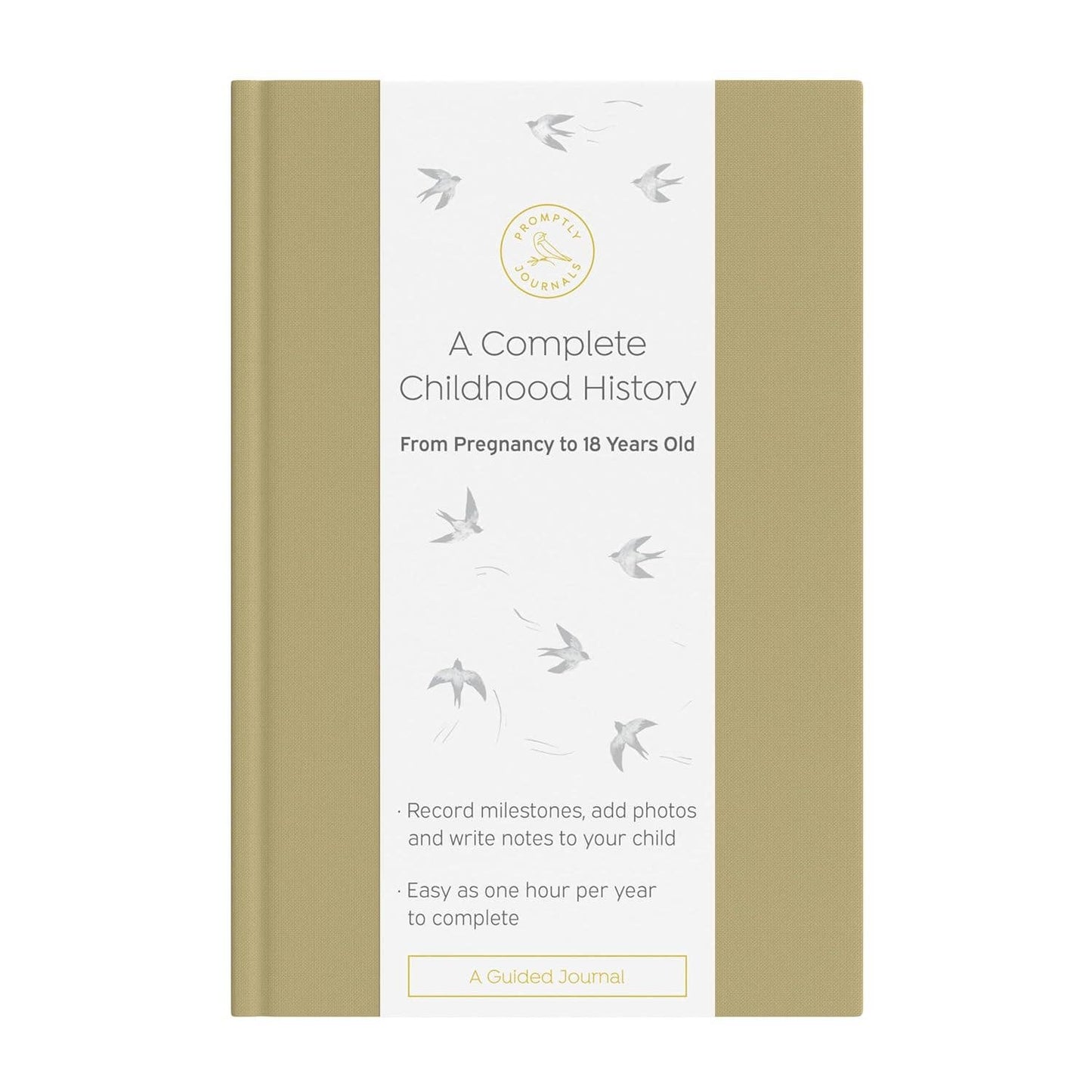A Complete Childhood History: Pregnancy to 18 Years Journal