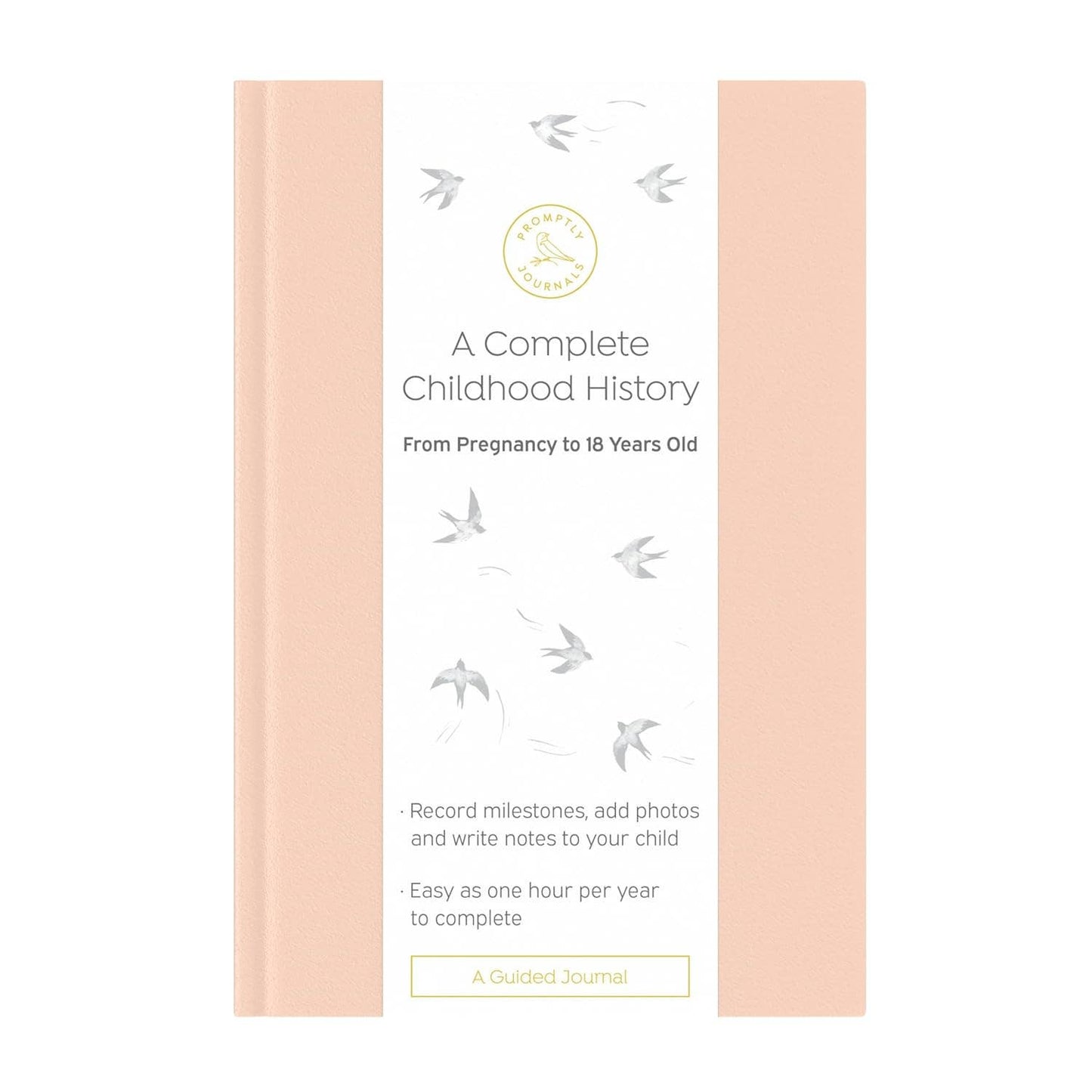 A Complete Childhood History: Pregnancy to 18 Years Journal
