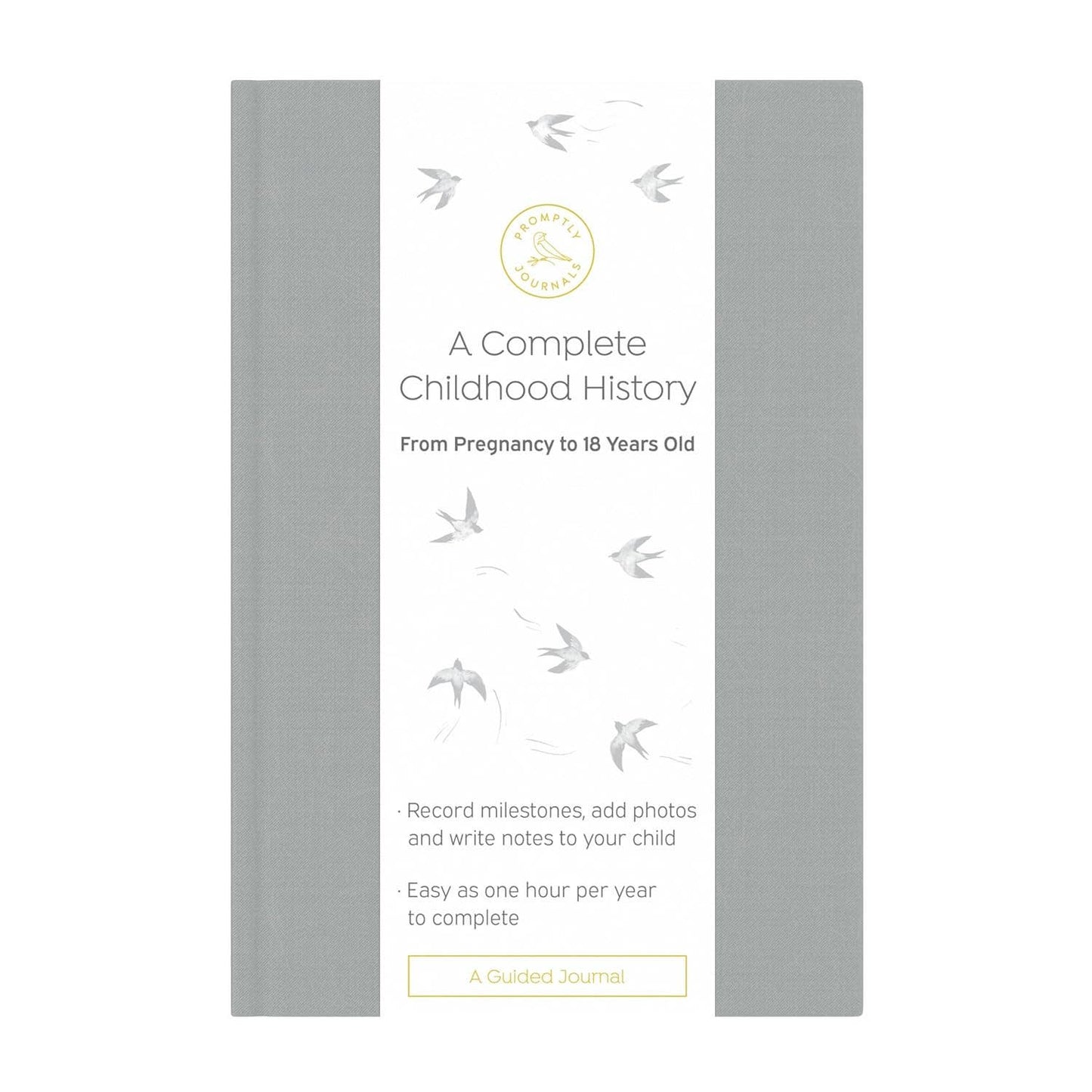 A Complete Childhood History: Pregnancy to 18 Years Journal