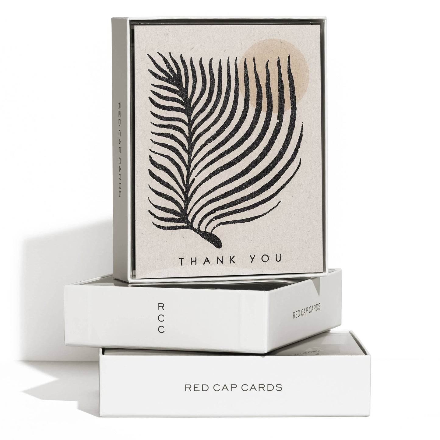 Palm Sun thank you greeting card