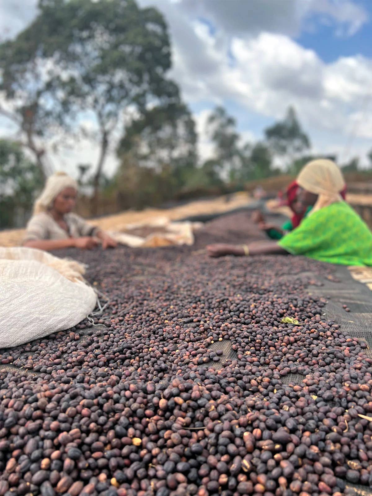 Ethiopia, Origins - Natural