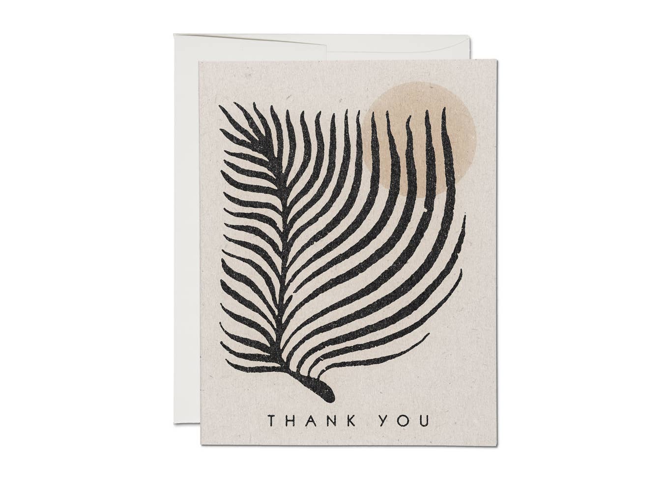 Palm Sun thank you greeting card